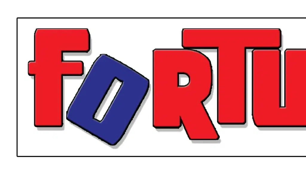 Fortune Computers