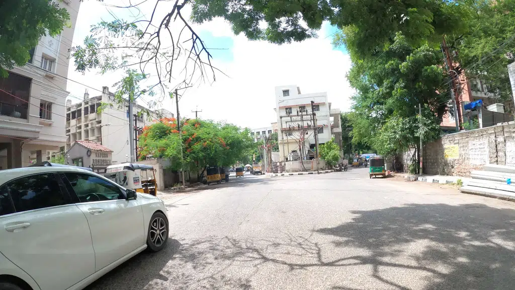 MS Sree Madhavi Travels