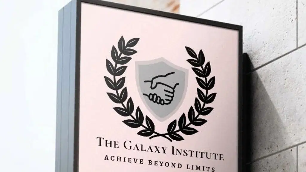 The Galaxy institute DELHI