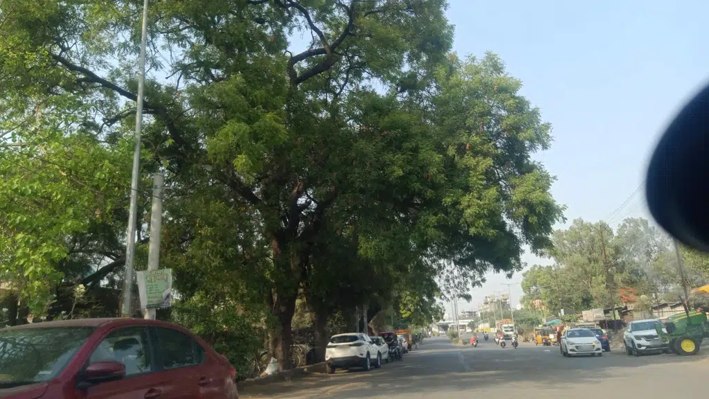 Shree_rama_ayurvedalay