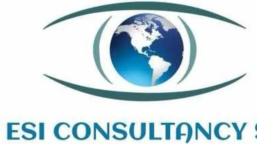 The PF ESI Consultant and Payroll HR Outsourcing Services