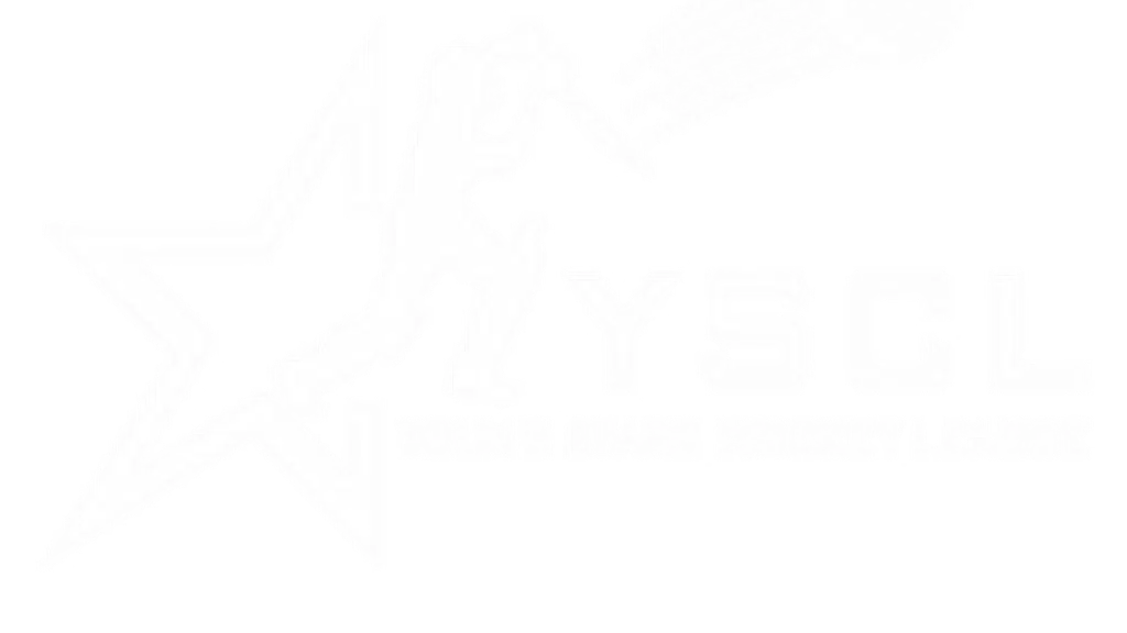 YSCL - Young Stars Cricket League