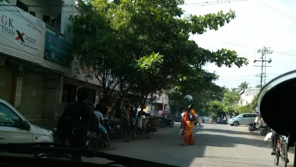 Manvasanai Marachekku Oil