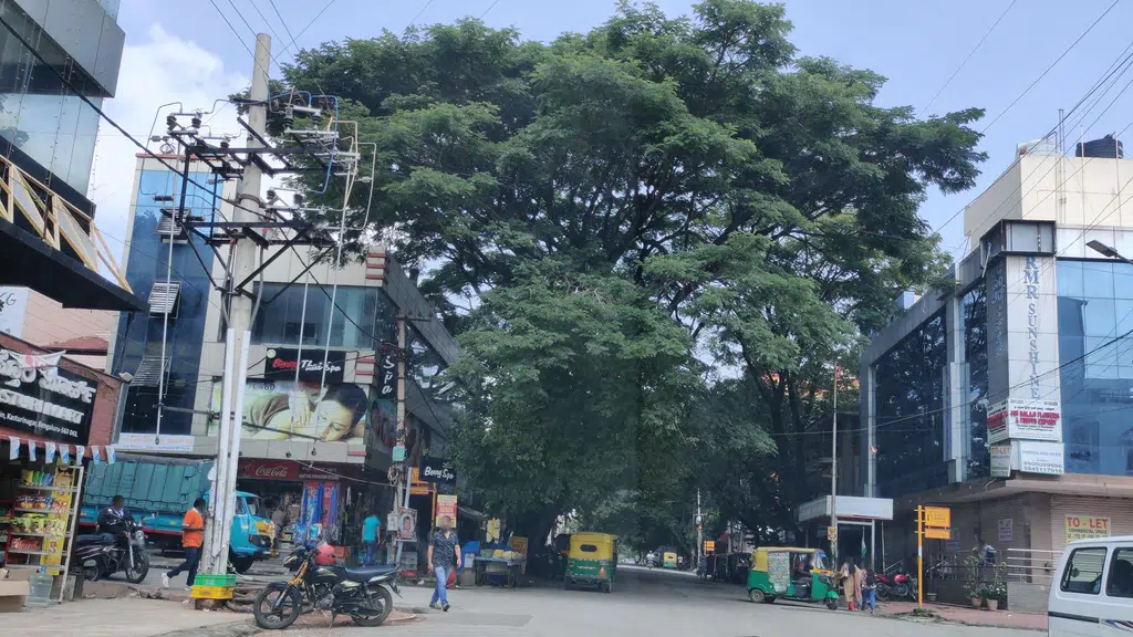 Ammaji silk house