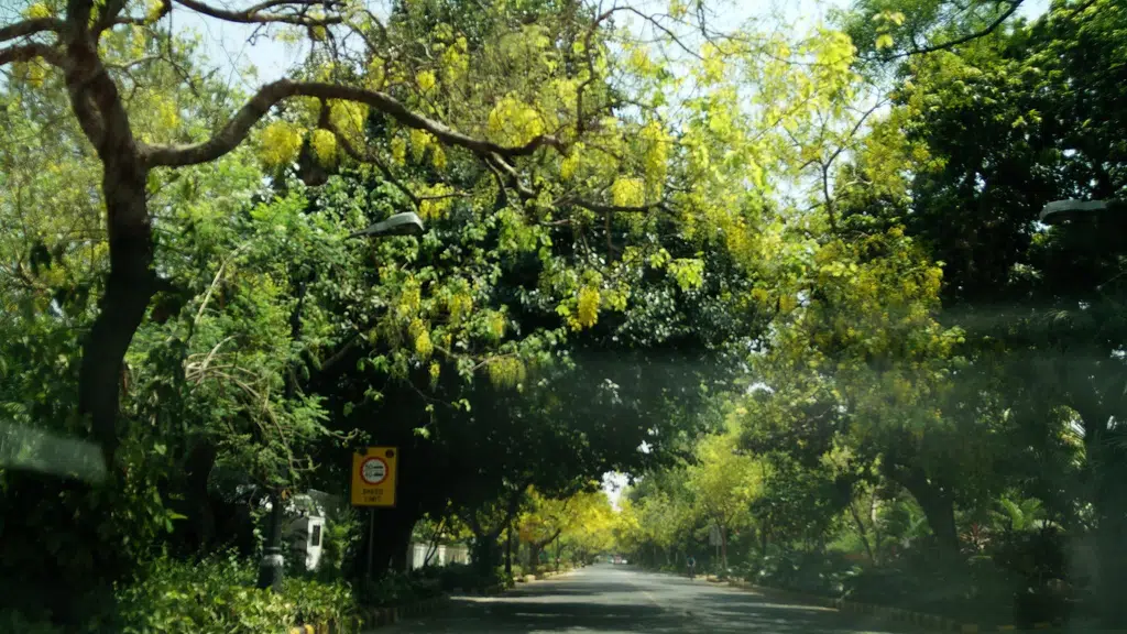 Amrita shergill marg