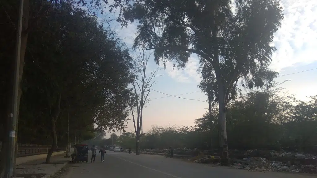 The Blooming Buds India