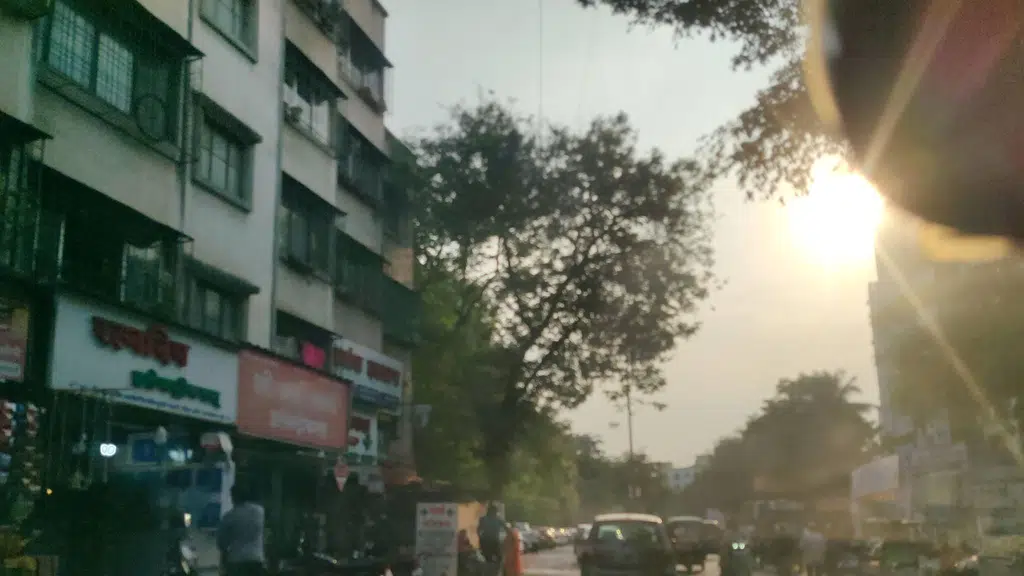 Maharashtra Chicken Shop