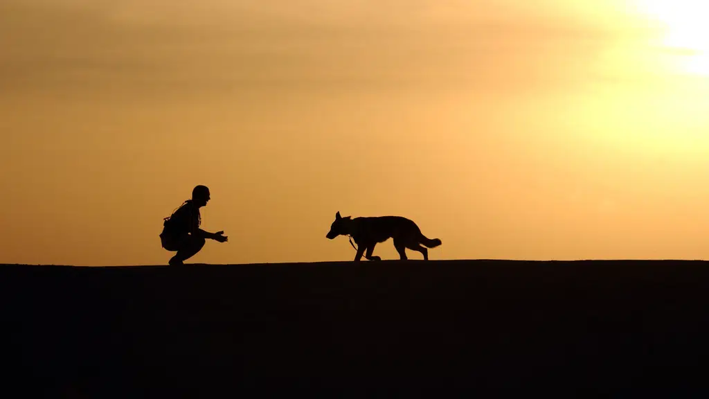 Kvets - Home Veterinary | Veterinary Doctor On Call | Doorstep Veterinary | Vets | On Call