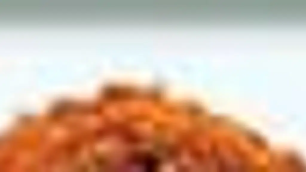 MV Spices (mohanlal Verhomal)