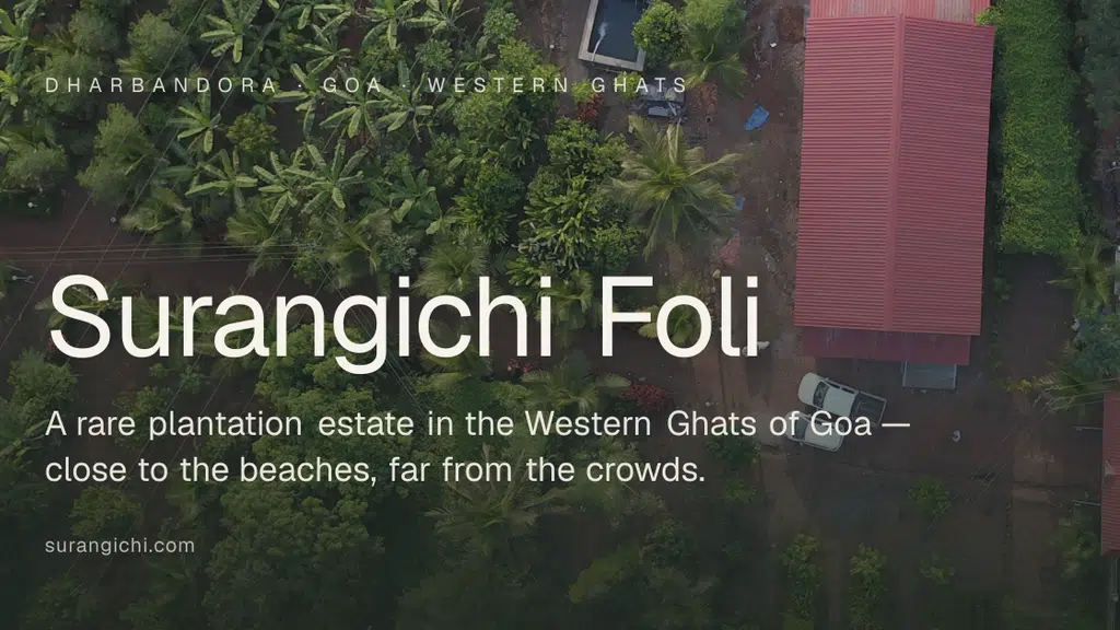 Surangichi Farm Fresh