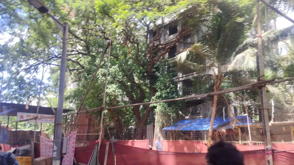 Dosti Oro 67 Kandivali