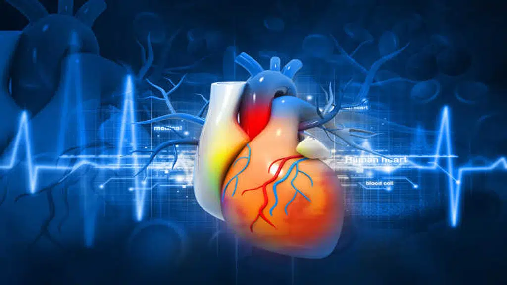 Best Cardiac Surgeon  - Dr. Nitin Kochar