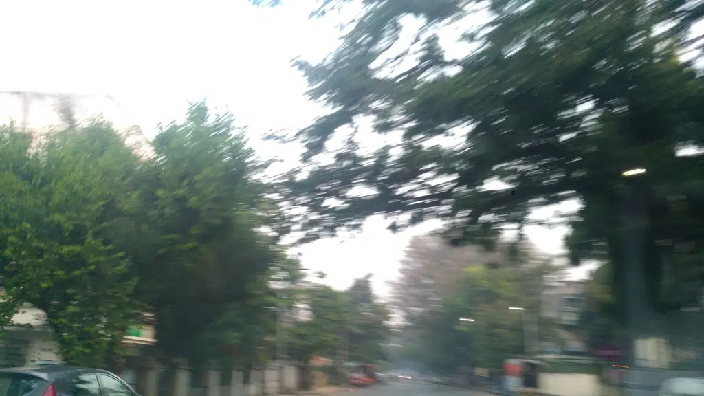 Shatayu Ayurved