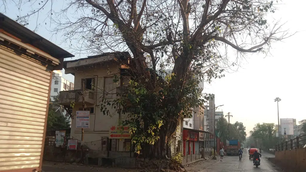 Chinchwad Garden