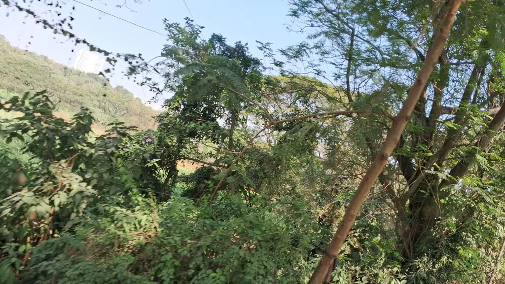Shree Swami Samarth Seva Mandal, Goregaon