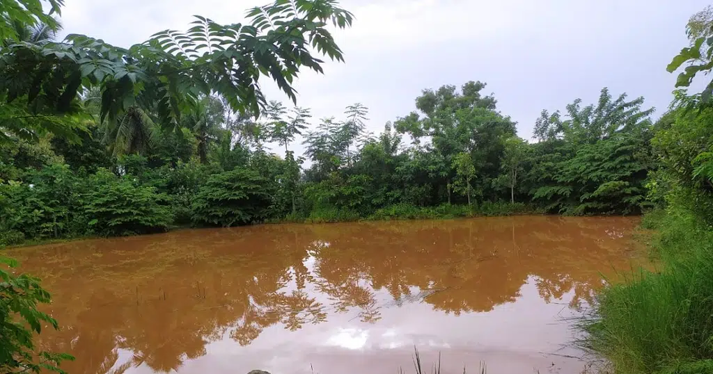 Patil Nature Farms