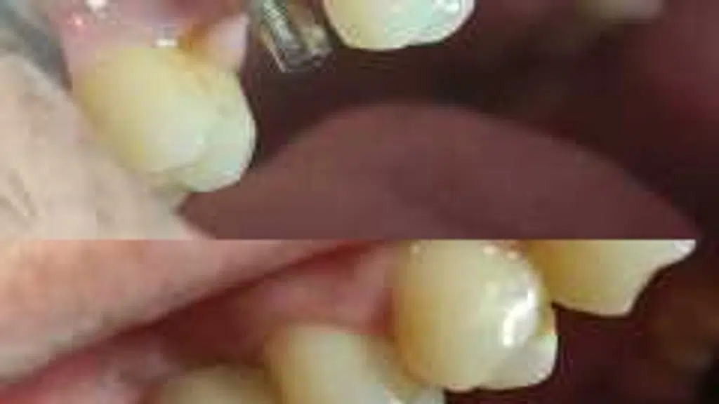 Masters of Dentistry MD Dental