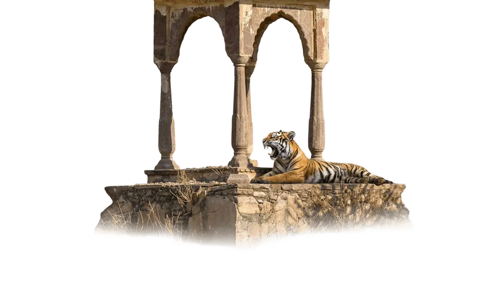 Ranthambhore National Resort