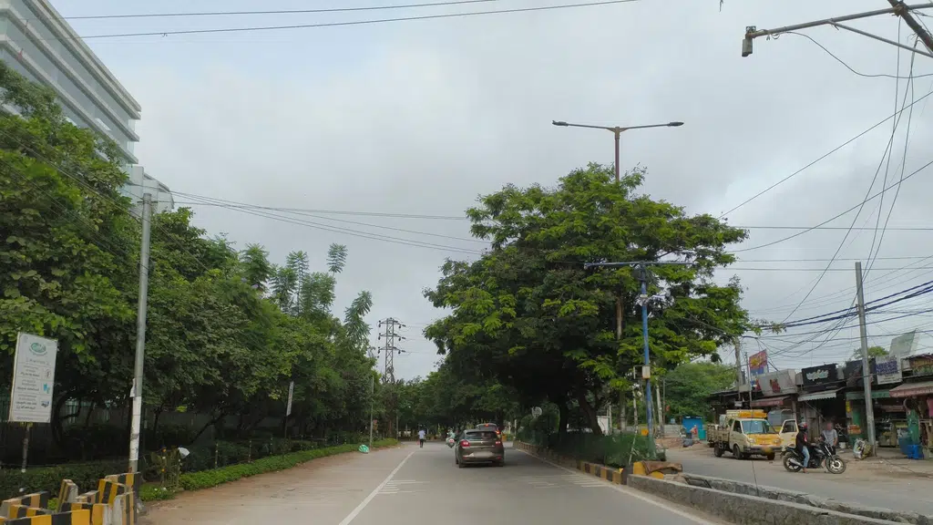 Palleturi DOSA Gachibowli