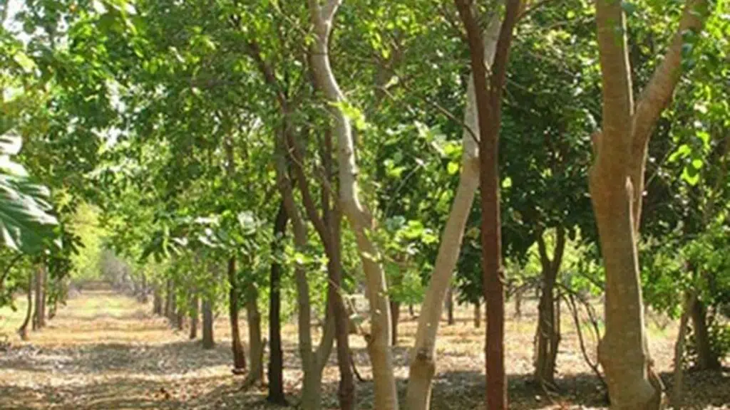 Farm Lands Karnataka