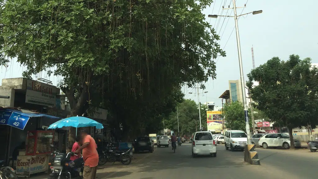 V.v.nagar