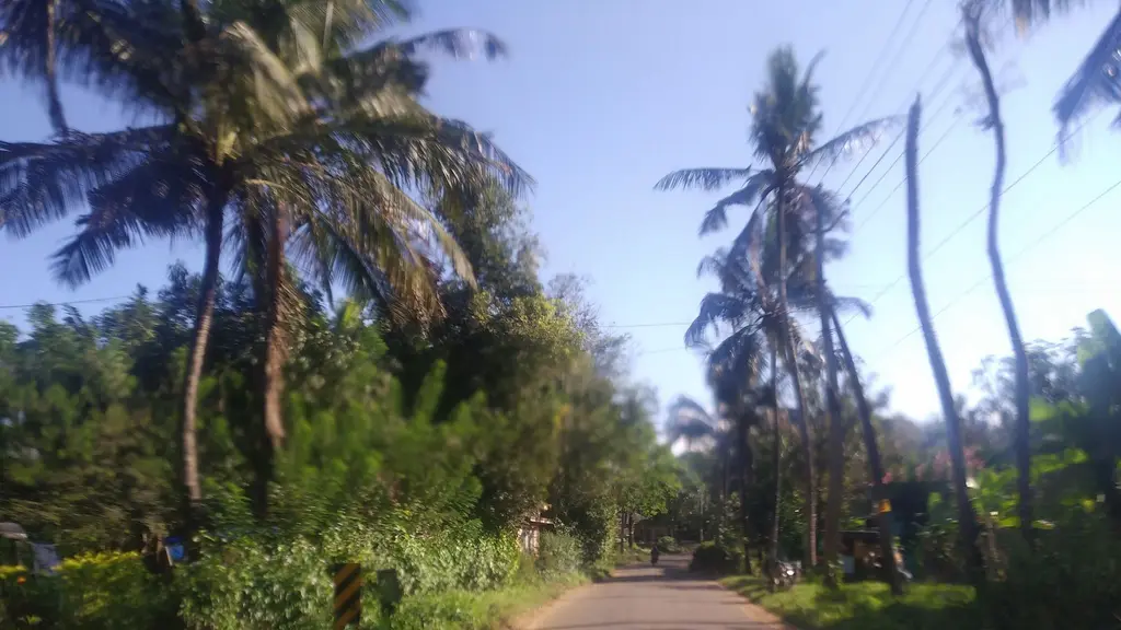 Kuruva Isles Jungle Resort - Wayanad -Kerala