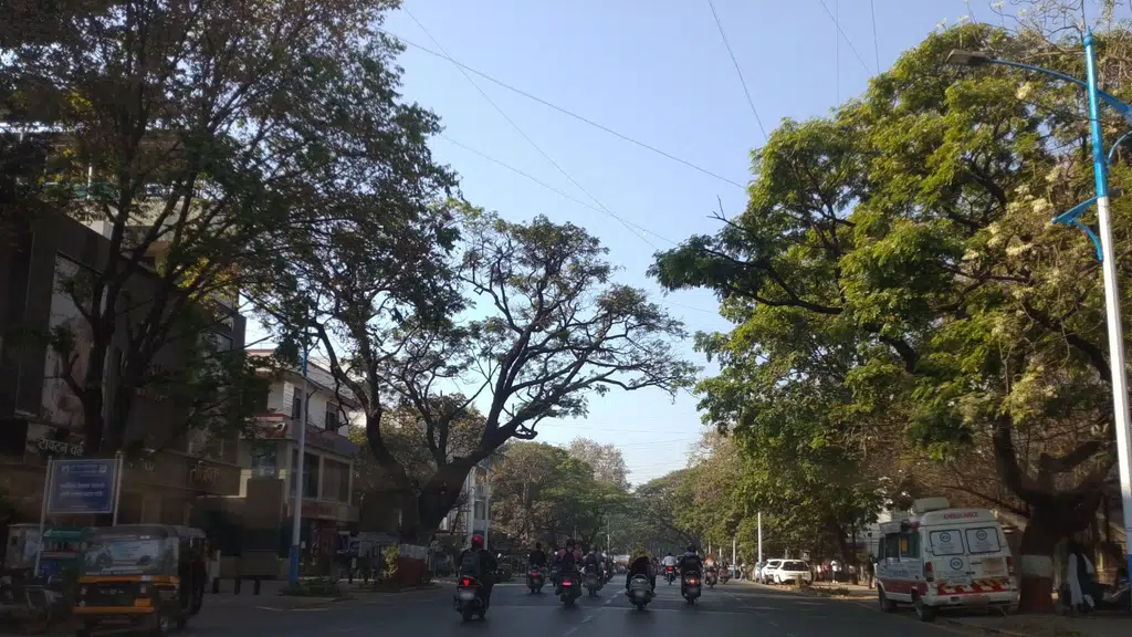 Vijayanand Travels (Vrl)