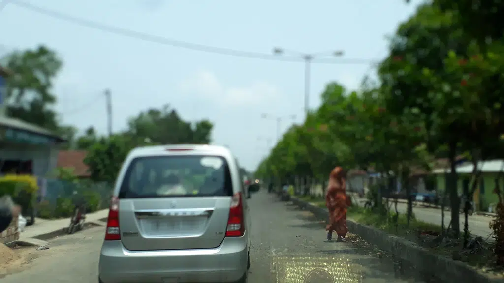 Khudiram Market