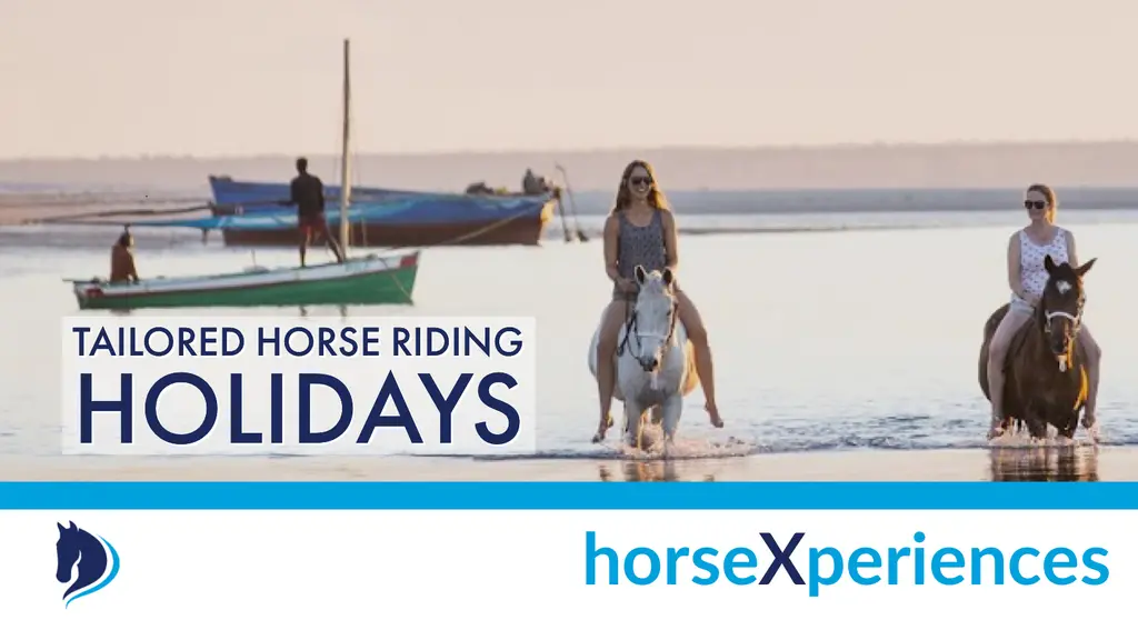horseXperiences