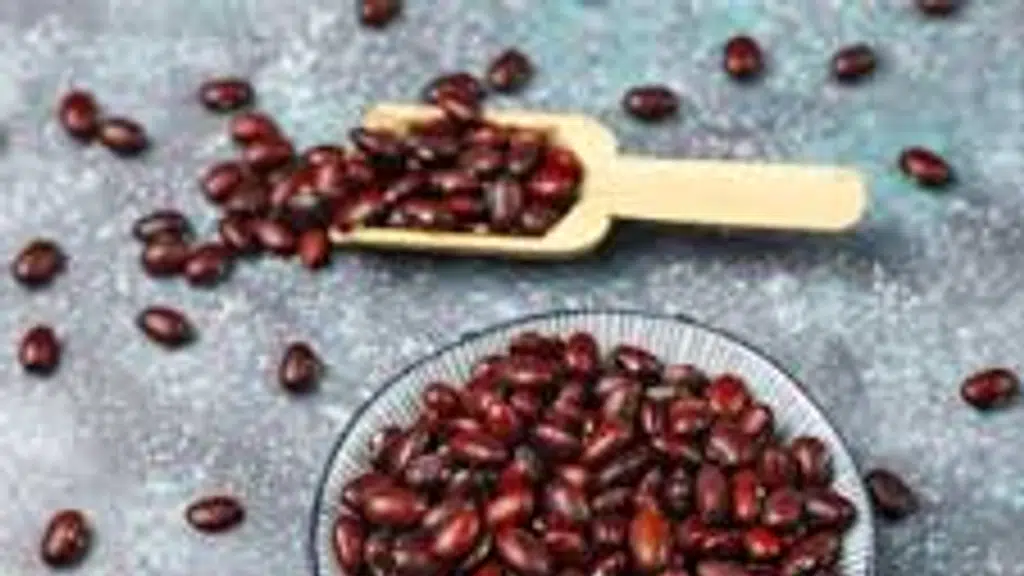 wanidryfruits_and_saffron