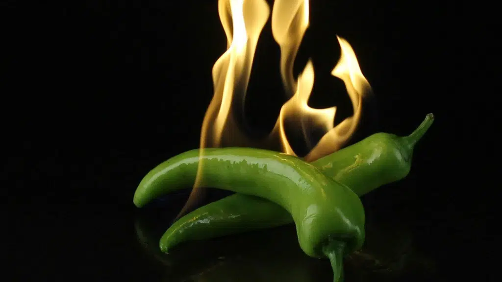 Mirchi Restaurant