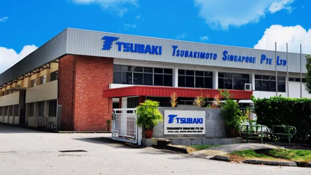 Tsubaki India