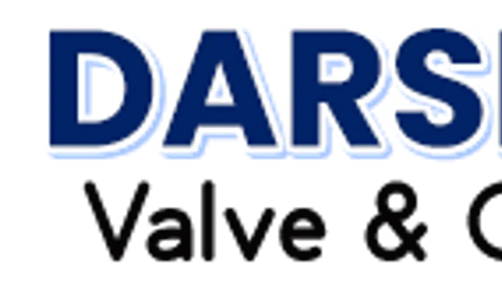 Darshan-valves