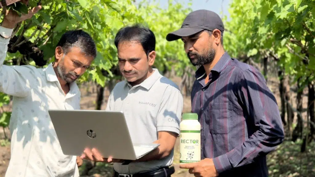 Mahafeed Speciality Fertilizers - India Pvt. Ltd.