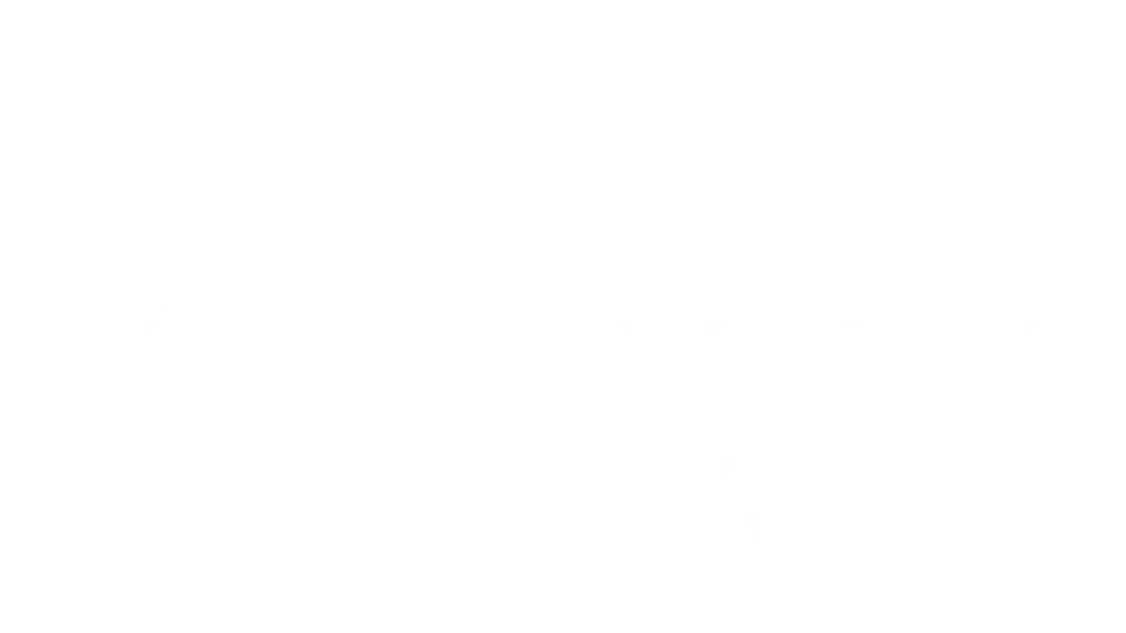 DSR Travels