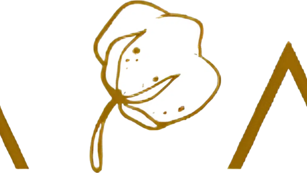 Kapaas