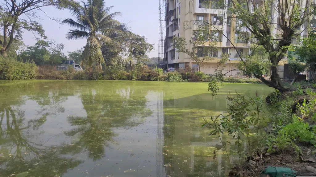 Jarimari Mata Mandir