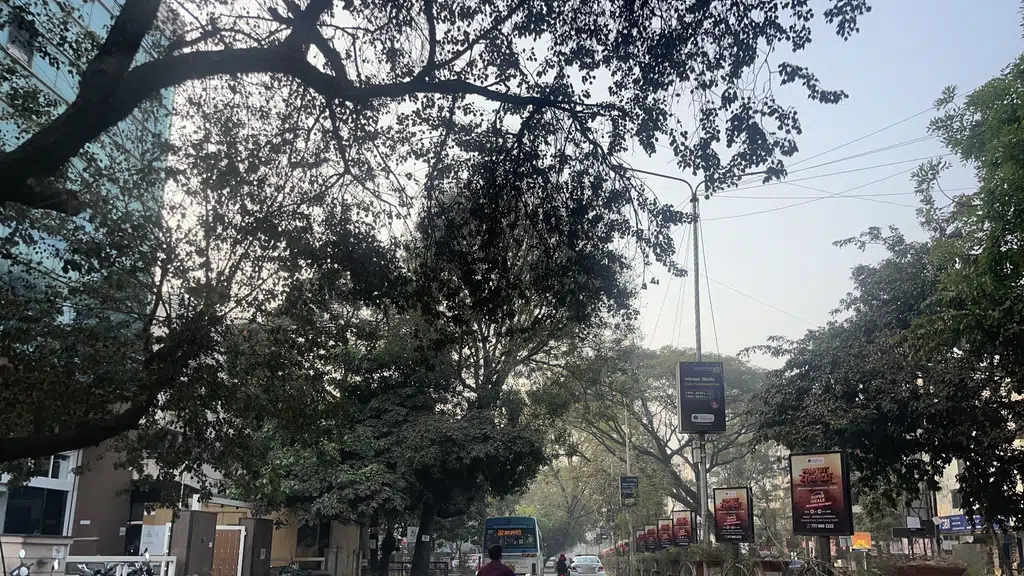 Charlies Deck | Best Cafe In Nashik