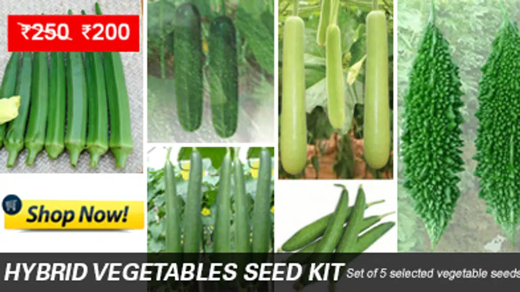 Plantsmans Seeds