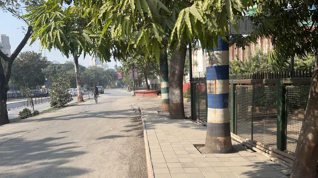 Bandra Wonderland