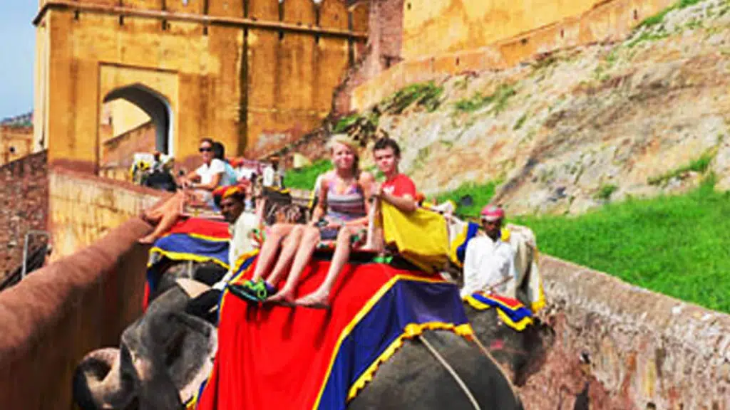 Taj Luxury Tours