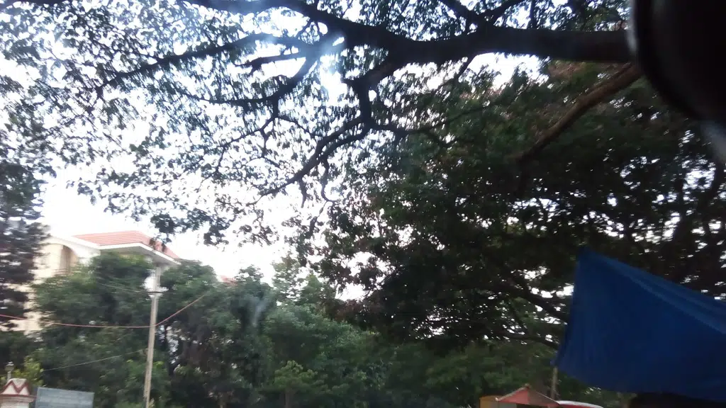 Mizpah Telugu Church