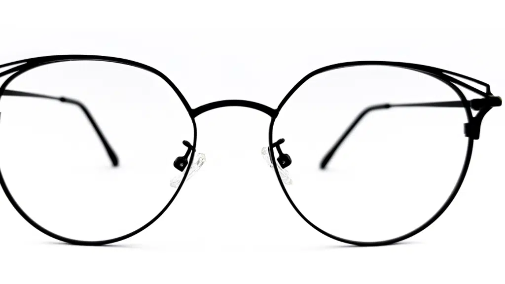 Hemant optical pilani