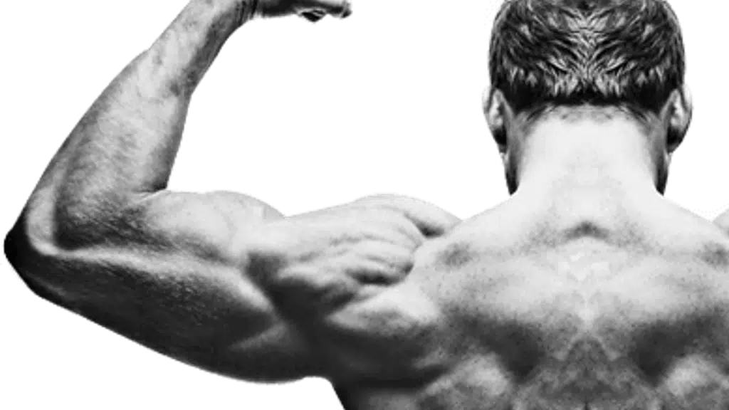 Focus Fitness