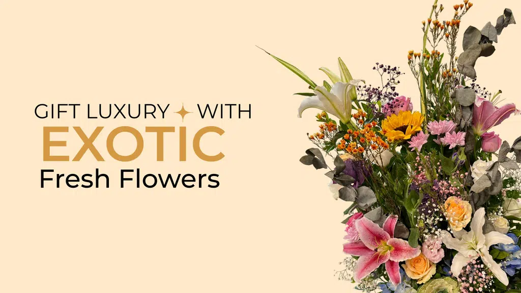 Aristo Florist