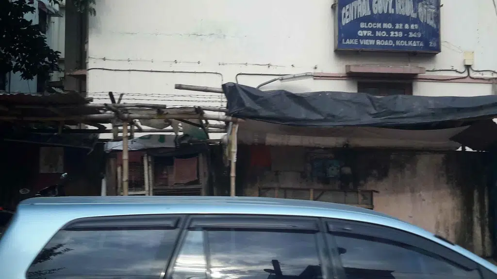 Chow's Nano Duzi