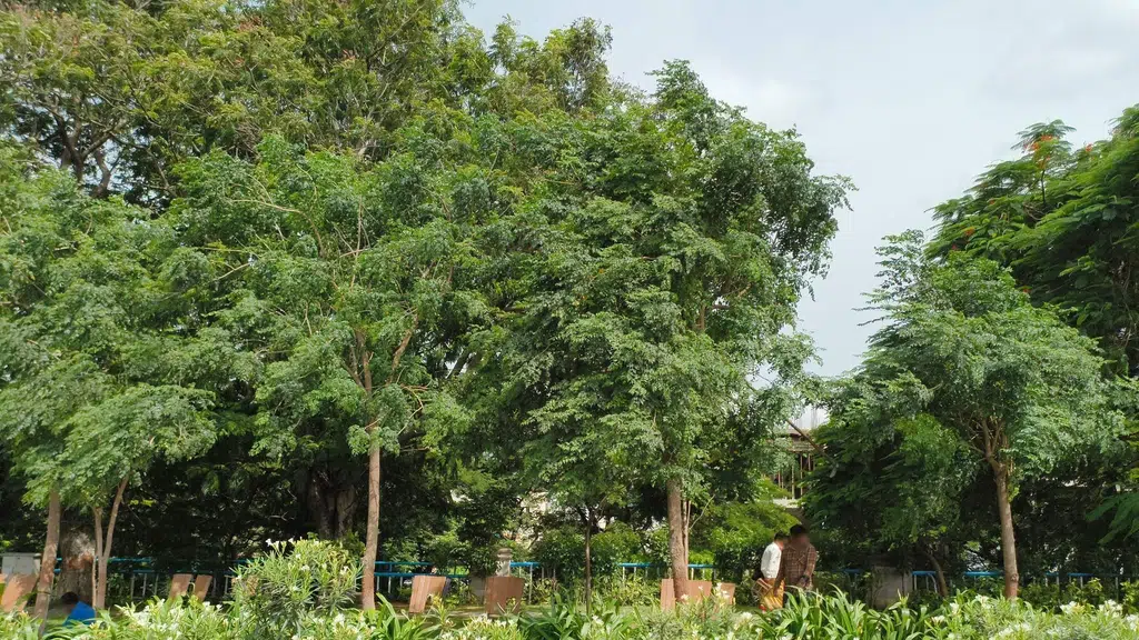 BSRV Naidu Junior College