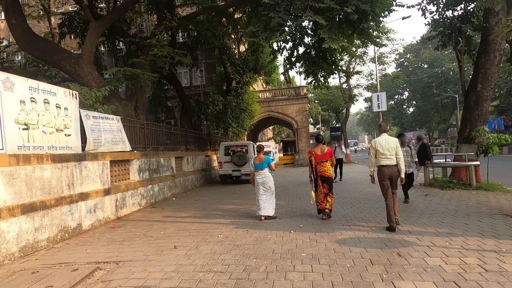 Chandni Travels