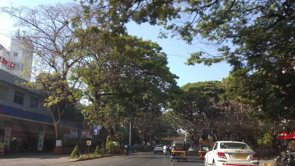 Parul University Counselor Office