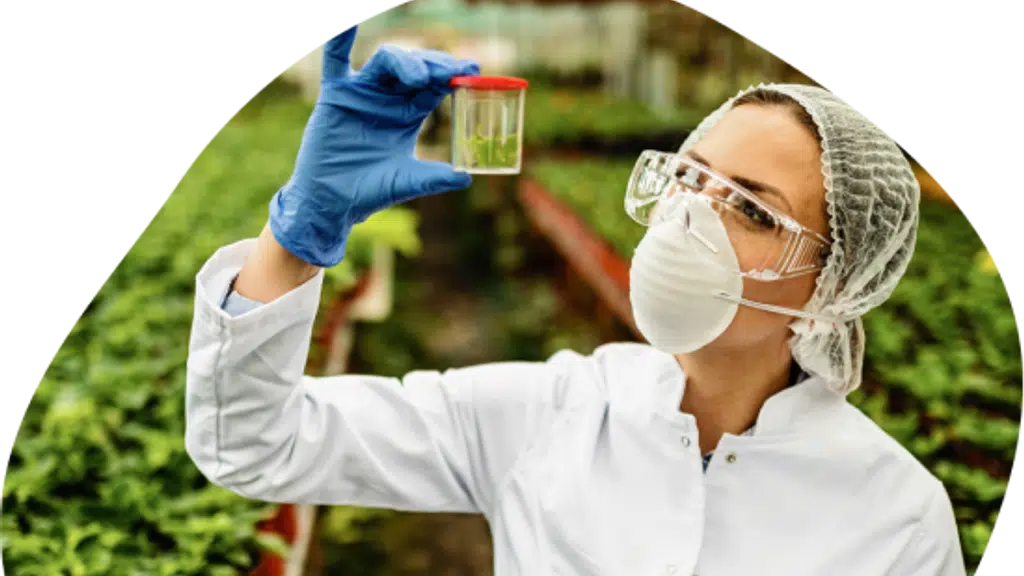 Anand Agro Care